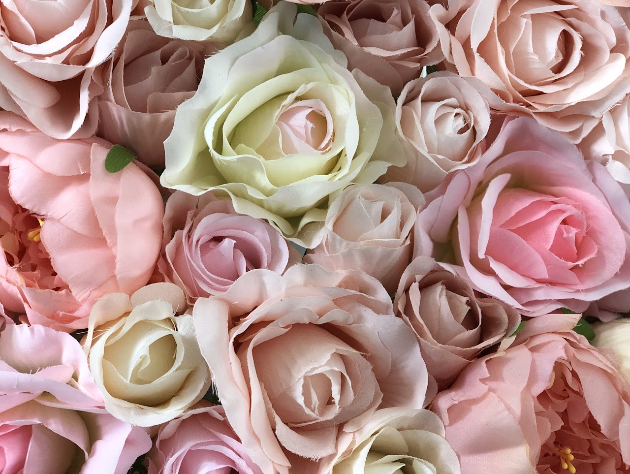 Wedding Flowers Nula